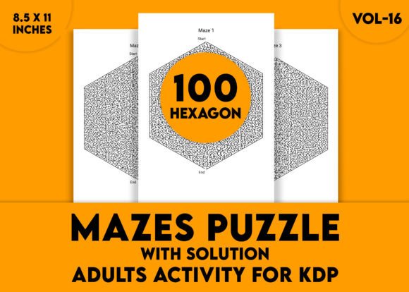Adults Hard Hexagon Mazes Puzzles Vol-16